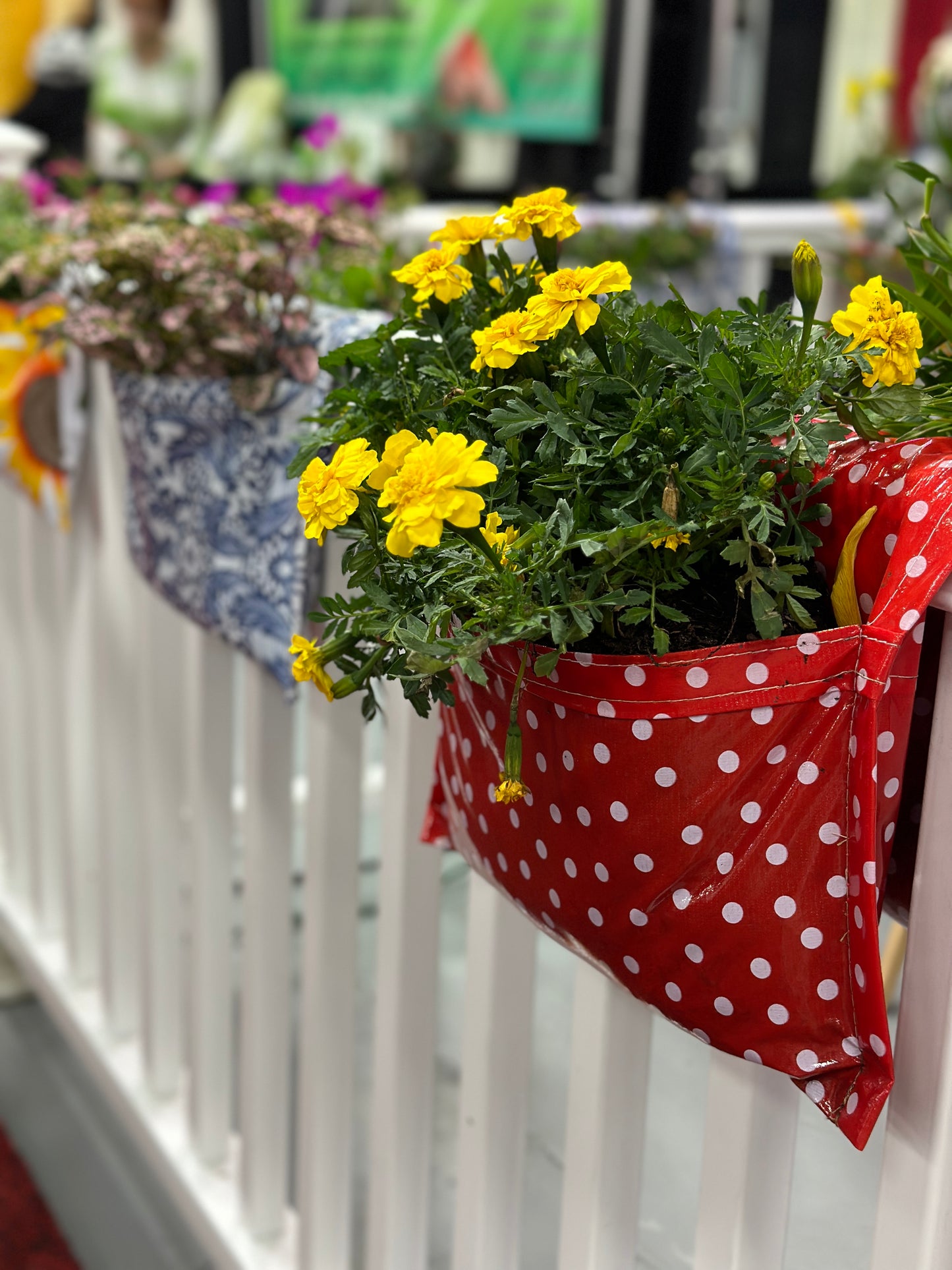 Red Polka Dots (Limited Supply)