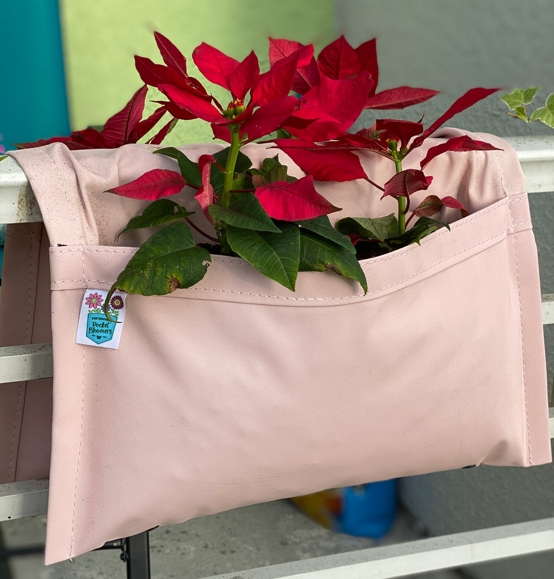 Pocket Bloomer's Poinsettia Railing Planter for Xmas season