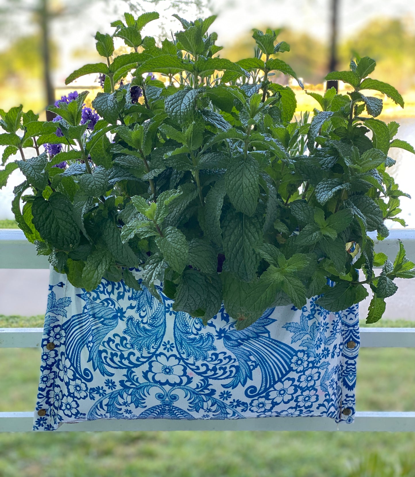 Blue Floral