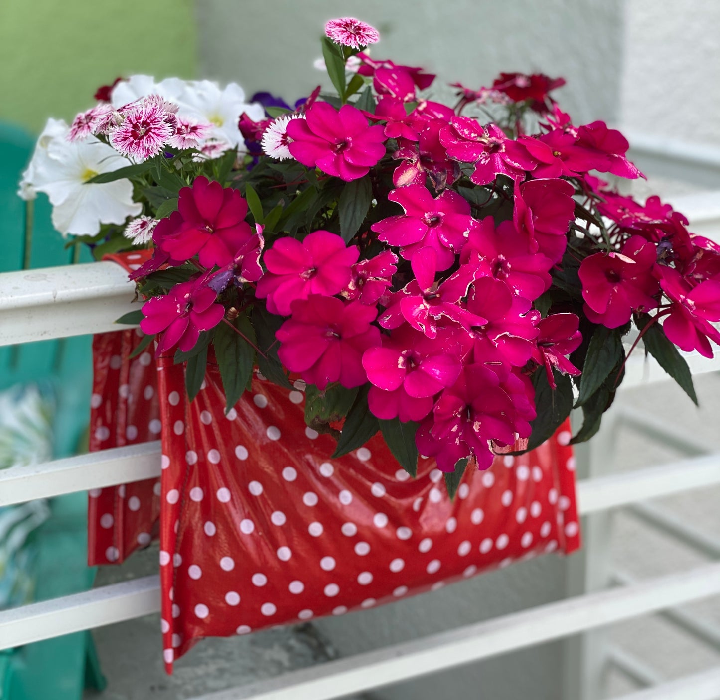 Red Polka Dots (Limited Supply)