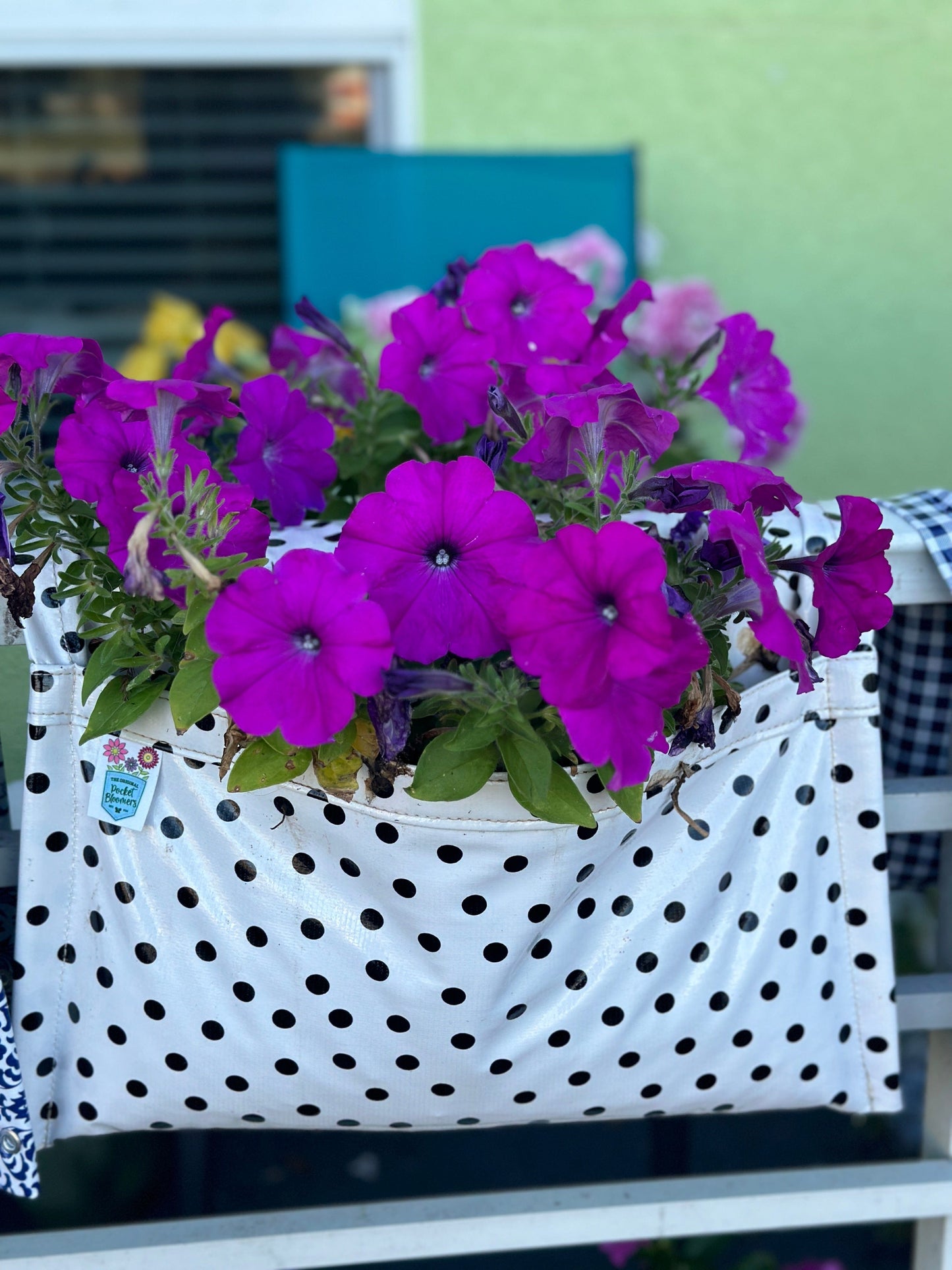 White with Black Dots (Popular)