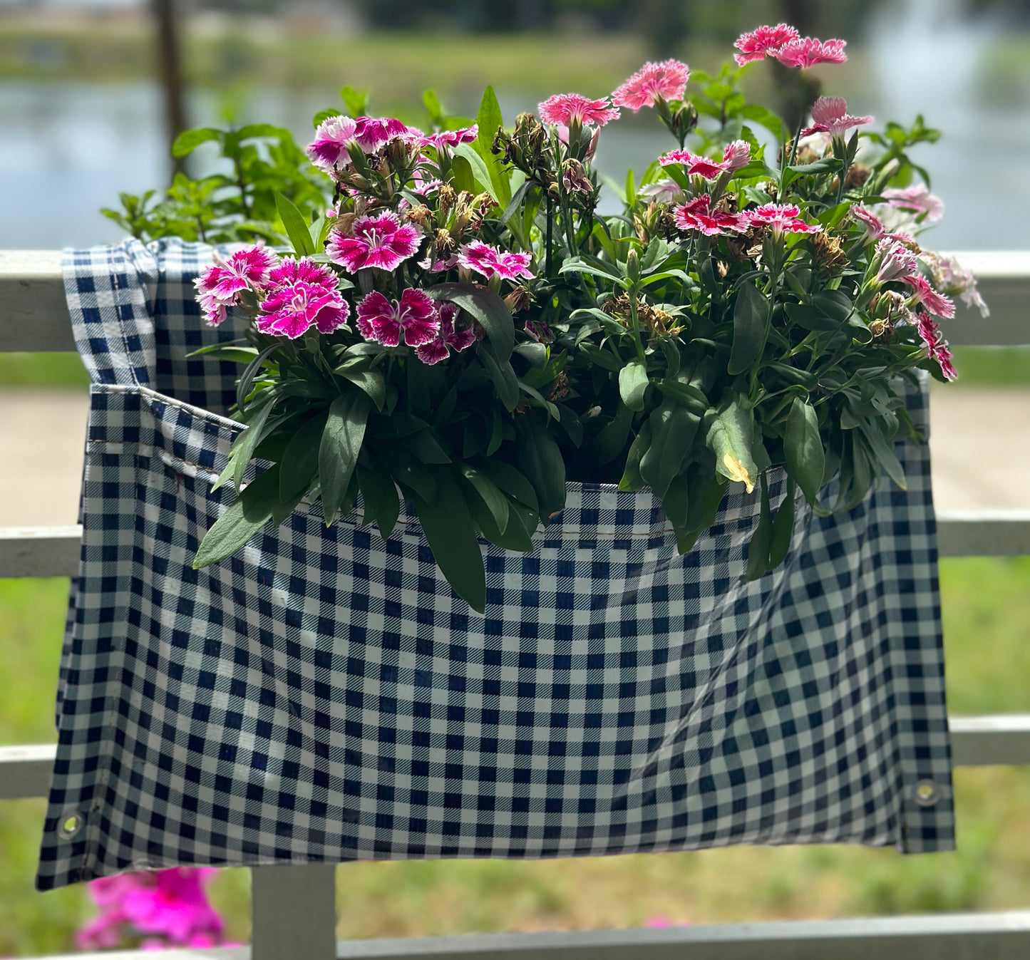 Blue Gingham